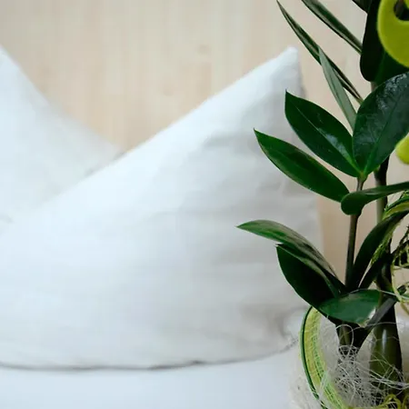 Land-Gut Hotel Zum Loewen Garni Hotel Marktheidenfeld